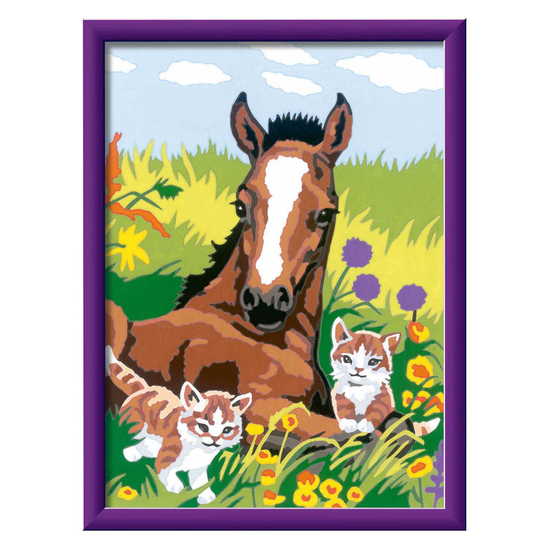 Schilderen op nummer Classic Paard met kittens