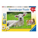 Ravensburger Boerderijdieren Legpuzzel, 2x12st.