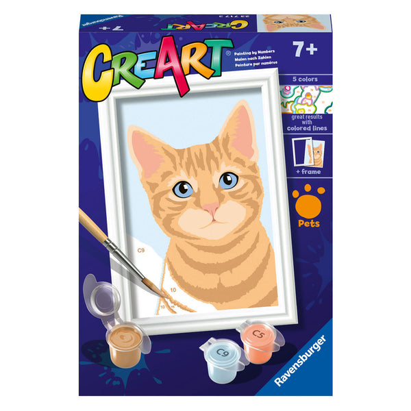 CreArt Schilderen op Nummer - Oranje Tabby