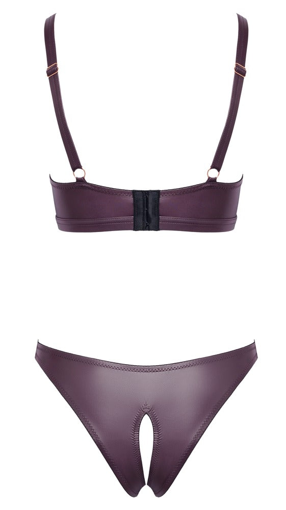 Bra and Briefs purple XL