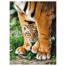 Clementoni Puzzel Tijger met Jong, 500st.