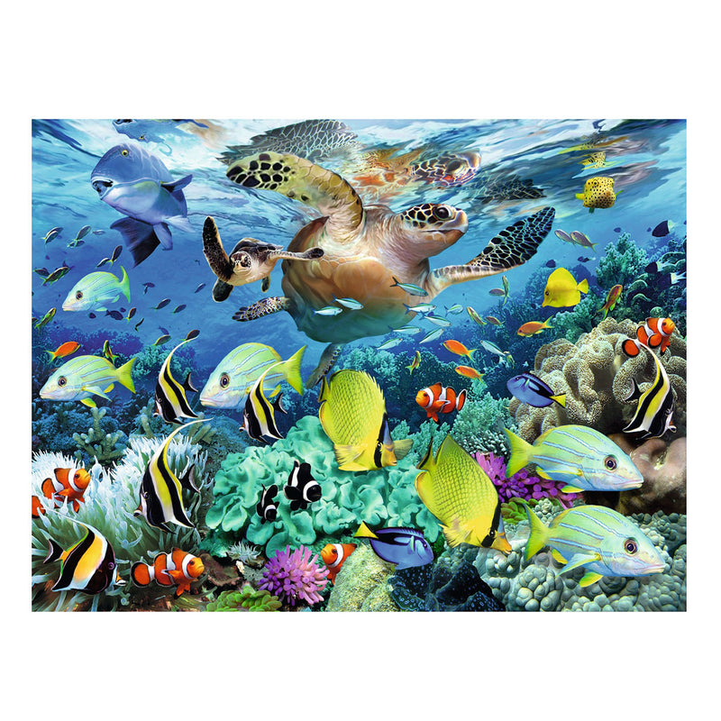 Onderwaterparadijs, 150st.