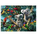 Koala's in de Boom, 500st.