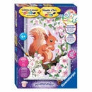 Schilderen op nummer serie classic romantic Eekhoorn in de l