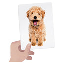 Headu Flashcards Tactile Montessori Memospel