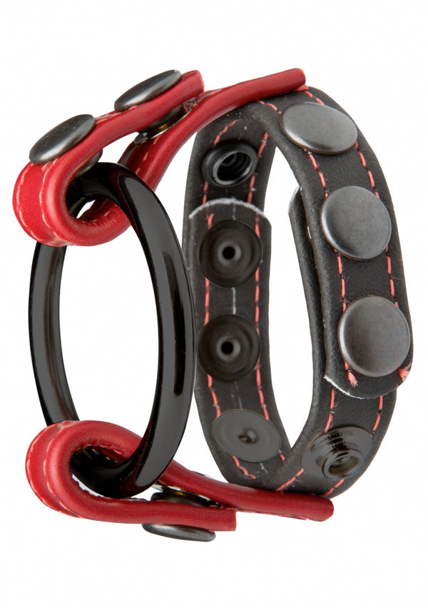 Cock & Ball Master Ring