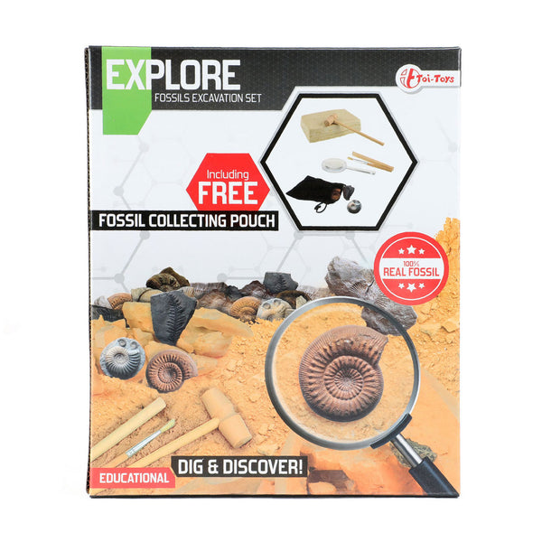 Explore Uitgraafset Fossiel met Loep