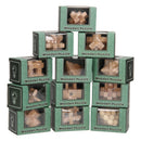 Hersenkraker houten puzzel 12 assorti in display