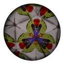 Kaleidoscoop Zeedieren