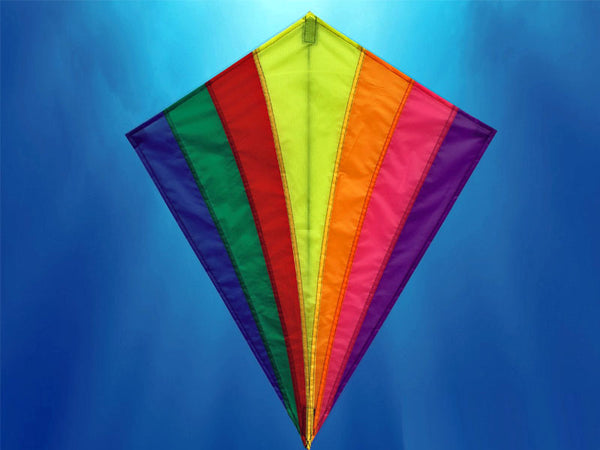 Diamant vlieger rainbow 82x88 02227