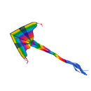 Vlieger Coloured dragon 02268