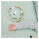 Trixie Rammelaar - Mr. Polar Bear