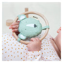 Trixie Rammelaar - Mr. Polar Bear