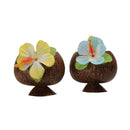 Party Beker Kokosnoot