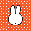 Nijntje Servetten, 20st.