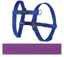 Rogz For Dogs Fanbelt Tuig Paars 20 MMX45-75 CM