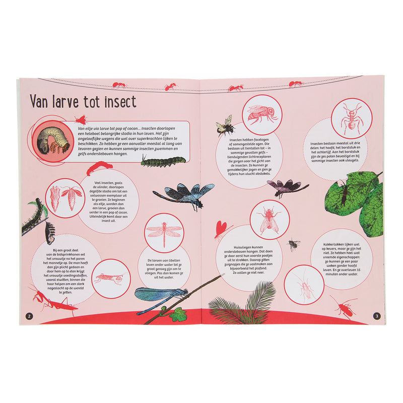 50 Weetjes 50 Stickers - Kriebeldiertjes