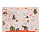 50 Weetjes 50 Stickers - Zoogdieren