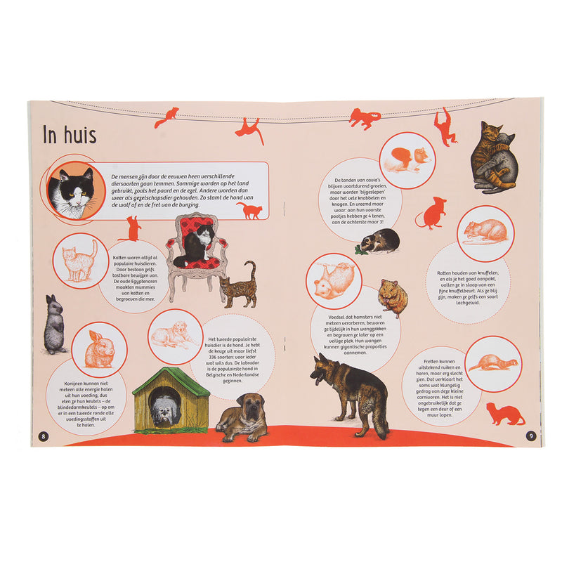 50 Weetjes 50 Stickers - Zoogdieren