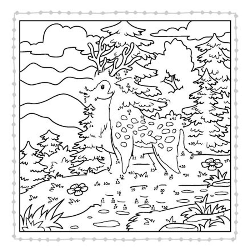 Van Punt tot Punt - In het Bos