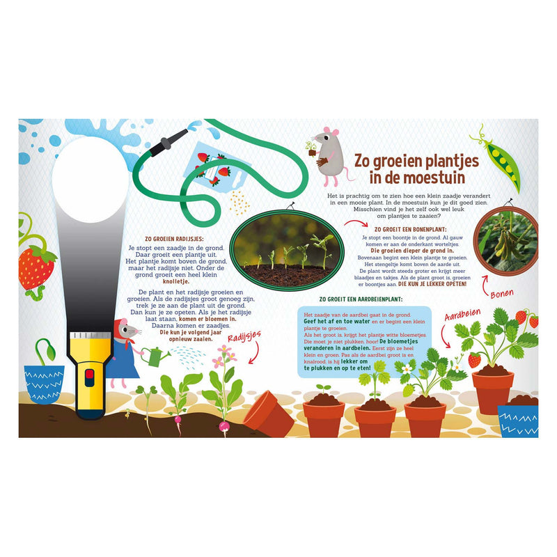 Speuren in de Tuin + kartonnen zaklamp