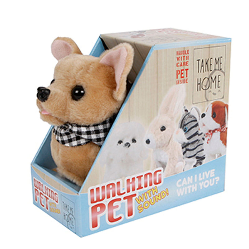 Take Me Home Loophond Chihuahua
