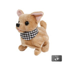 Take Me Home Loophond Chihuahua