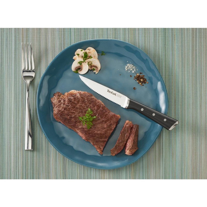 Tefal K232S4 Ice Force Steakmessen 4 Stuks