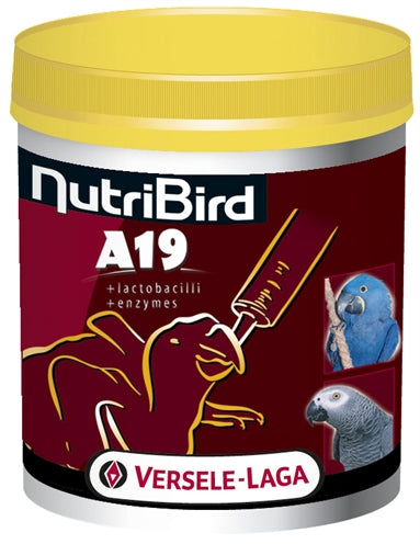 Zzznutribird A19 Papegaai 800 GR