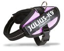 Julius K9 Power-harnas/tuig Voor Labels Roze MAAT 0/58-76 CM
