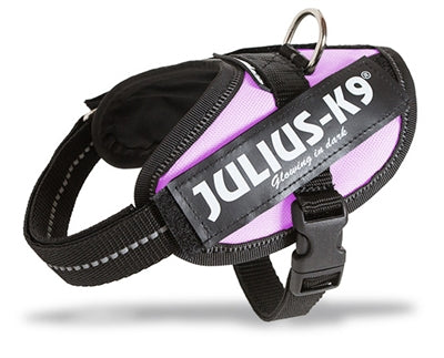 Julius K9 Power-harnas/tuig Voor Labels Roze BABY 2/35-43 CM