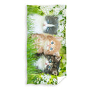 Strandlaken Kittens Katoen, 70x140cm