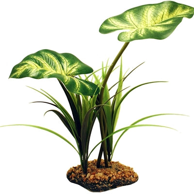 Komodo Broadleaf Canopy 26 CM