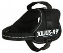 Julius K9 Power-harnas / Tuig Voor Labels Zwart MINIMINI/40-53 CM