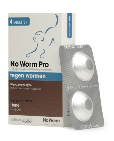 No Worm Pro Hond L 4 TBL