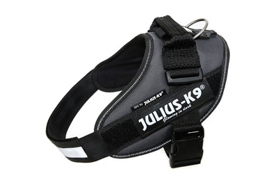 Julius K9 Idc Power-harnas / Tuig Voor Labels Antraciet MAAT 0/58-76 CM