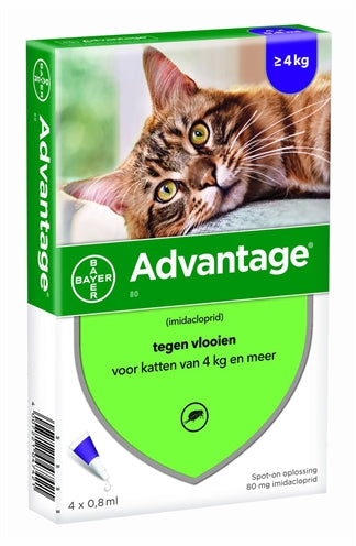 Bayer Advantage Kat 4 Pipetten 80 VANAF 4 KG 4 PIP