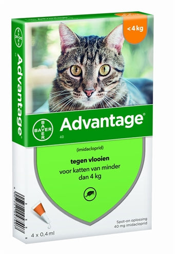 Bayer Advantage Kat 4 Pipetten 40 TOT 4 KG 4 PIP