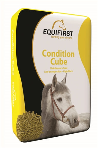 Equifirst Condition Cube 20 KG