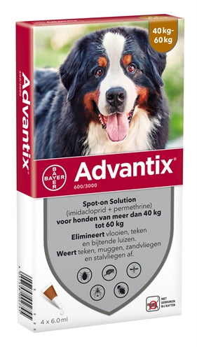 Bayer Advantix Spot On 600/3000 40+ KG - 4 PIP