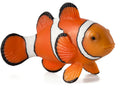 Mojo Sealife Clownvis - 387090