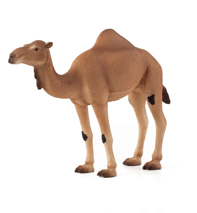 Mojo Wildlife Arabische Kameel - 387113