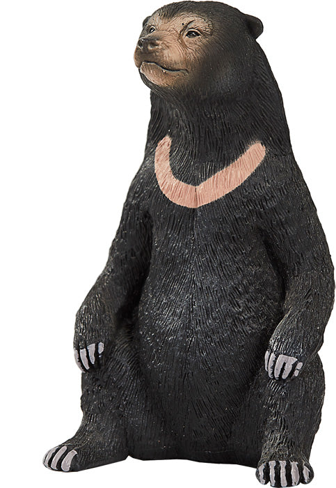 Animal Planet Sun Bear