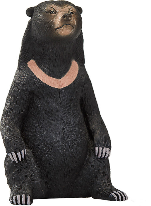 Animal Planet Sun Bear