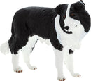 Mojo Farmland Border Collie - 387203