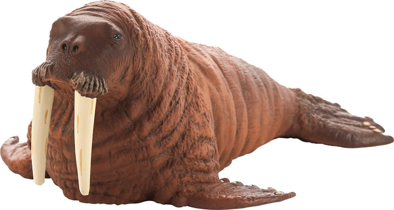 Mojo Sealife Walrus 387209