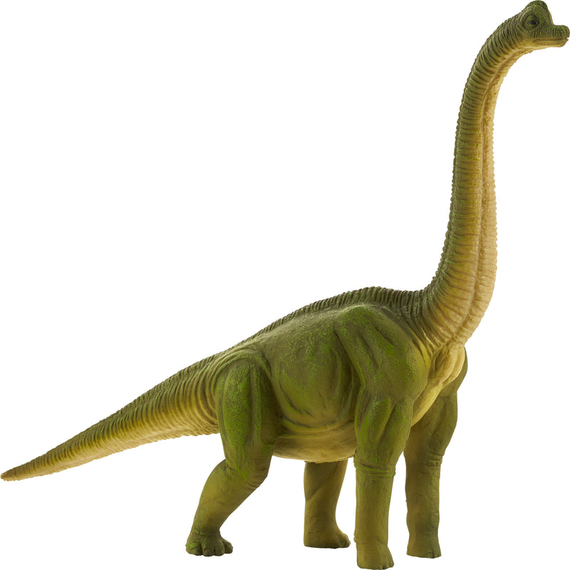 Mojo Prehistorie Brachiosaurus - 387212