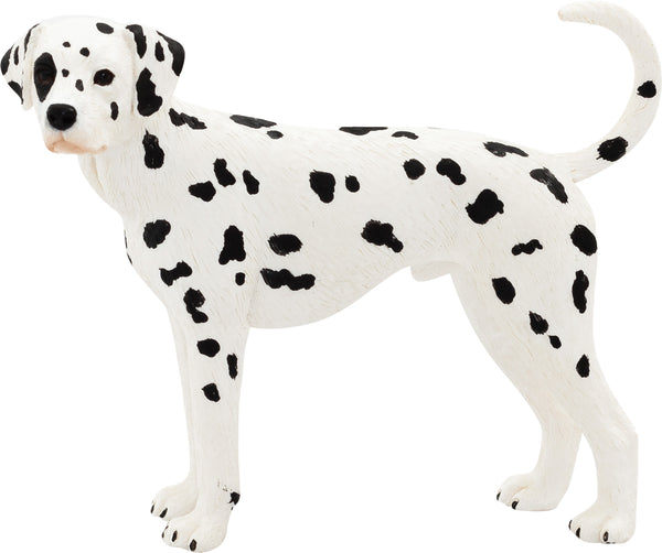 Mojo Farmland Dalmatiër - 387248