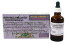 World Of Herbs Fytotherapie Uitblijven Loopsheid 50 ML