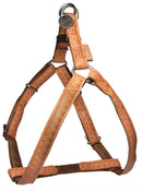 Macleather Tuig Bruin 20 MMX50-75 CM